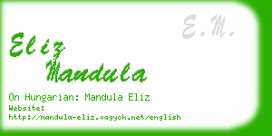 eliz mandula business card